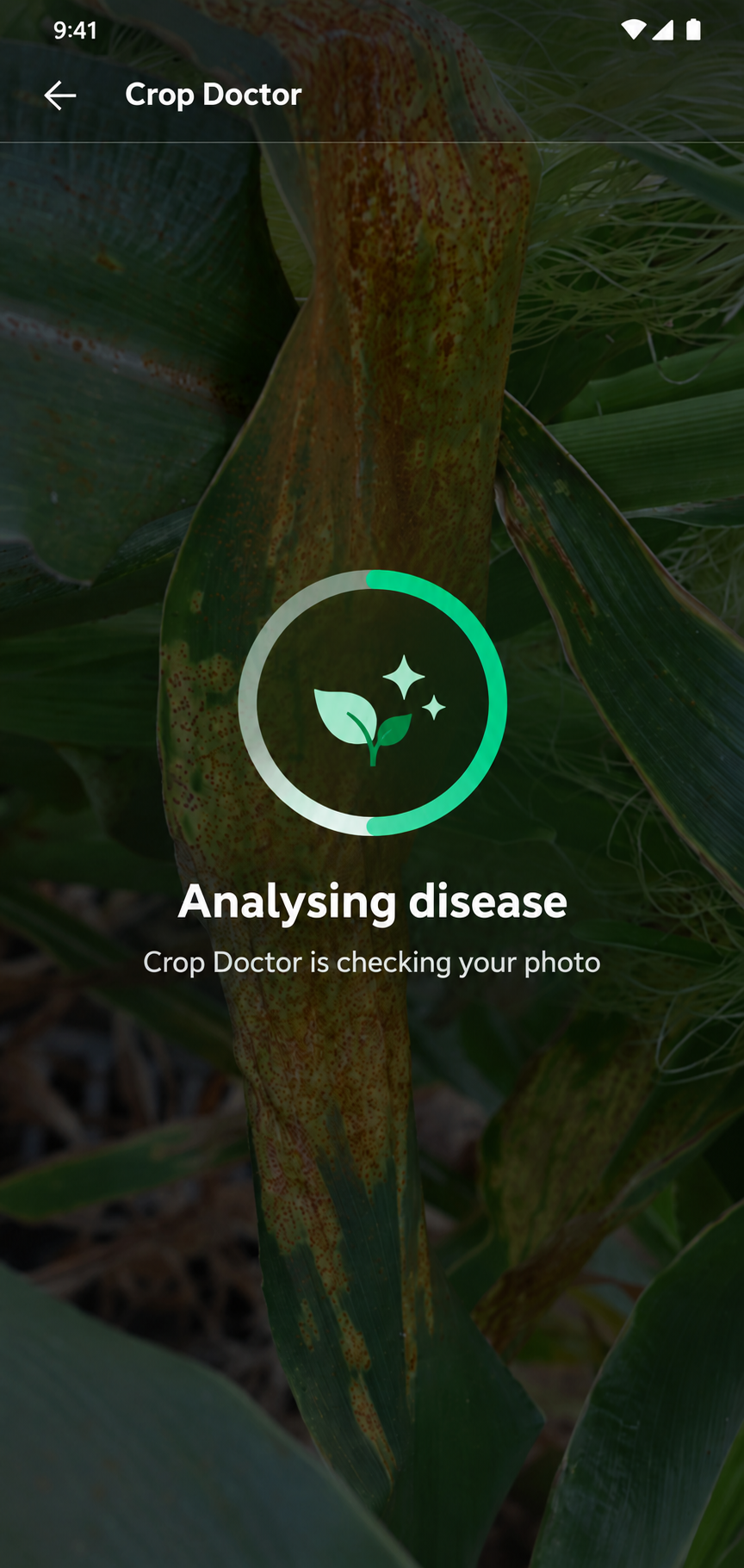Refreshed AI disease analysis screen